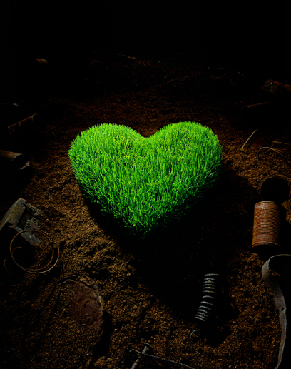 Heart In Green